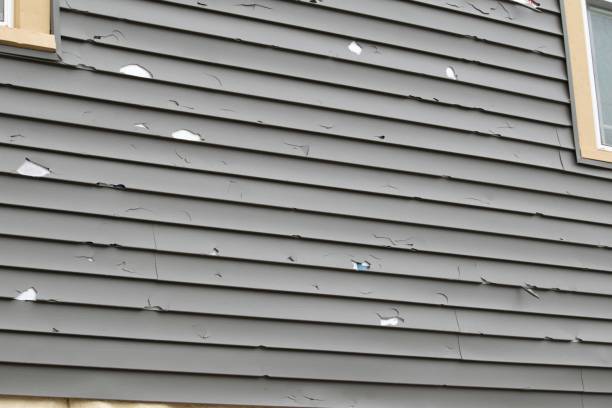 Best Fascia and Soffit Installation  in Asbury Lake, FL